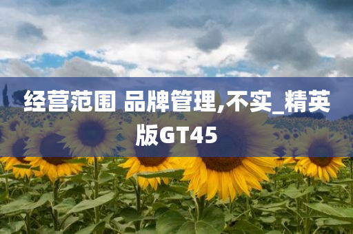 经营范围 品牌管理,不实_精英版GT45