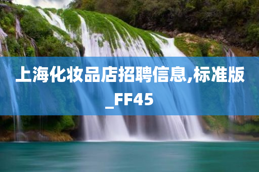 上海化妆品店招聘信息,标准版_FF45