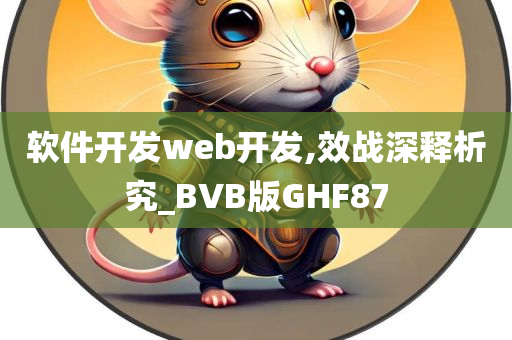 软件开发web开发,效战深释析究_BVB版GHF87