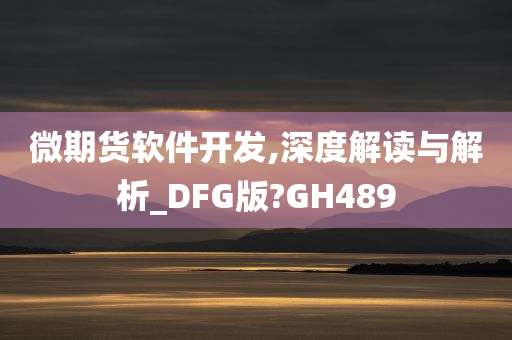 微期货软件开发,深度解读与解析_DFG版?GH489