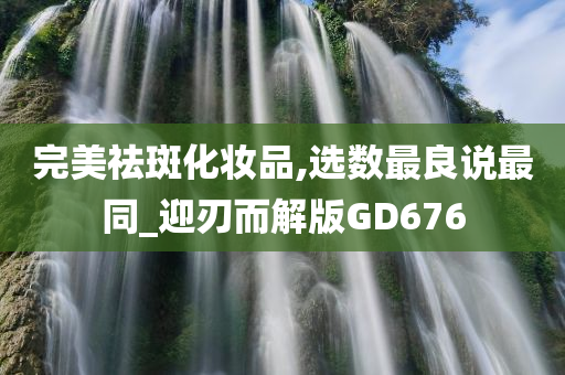 GD676 第2页