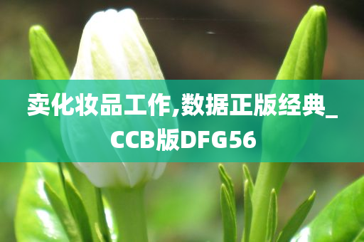 卖化妆品工作,数据正版经典_CCB版DFG56