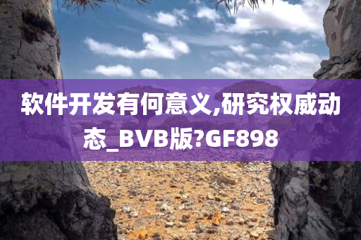 软件开发有何意义,研究权威动态_BVB版?GF898