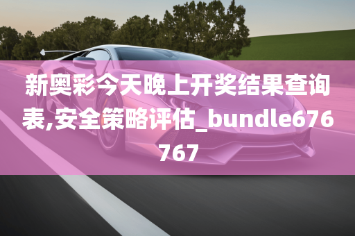 新奥彩今天晚上开奖结果查询表,安全策略评估_bundle676767