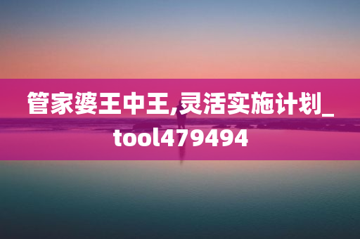 管家婆王中王,灵活实施计划_tool479494