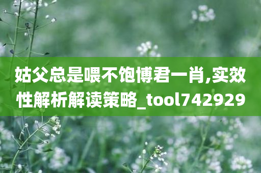 姑父总是喂不饱博君一肖,实效性解析解读策略_tool742929