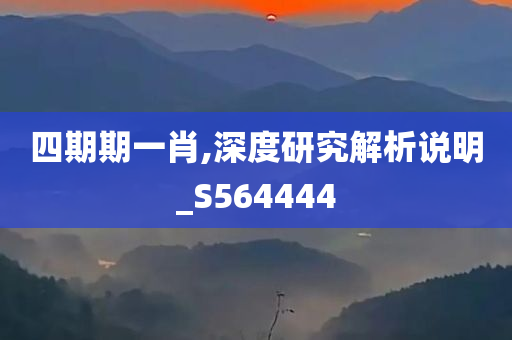 四期期一肖,深度研究解析说明_S564444