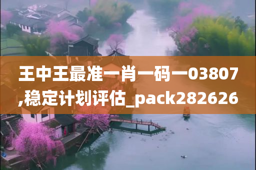 王中王最准一肖一码一03807,稳定计划评估_pack282626