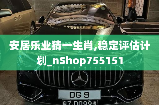 安居乐业猜一生肖,稳定评估计划_nShop755151