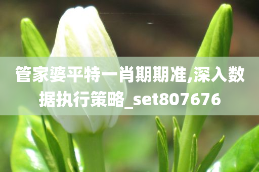 管家婆平特一肖期期准,深入数据执行策略_set807676