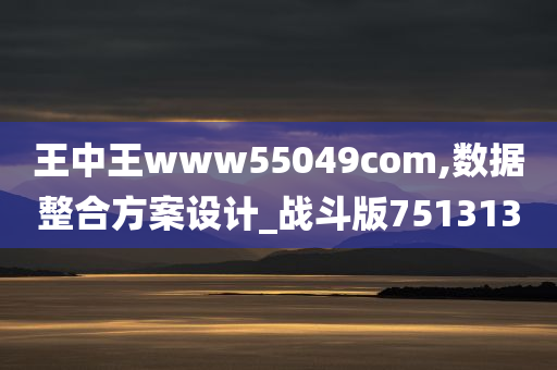 王中王www55049com,数据整合方案设计_战斗版751313