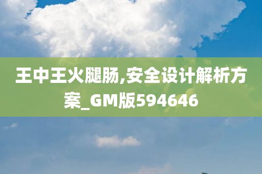 王中王火腿肠,安全设计解析方案_GM版594646