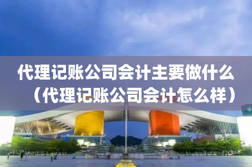 代理记账公司会计主要做什么（代理记账公司会计怎么样）