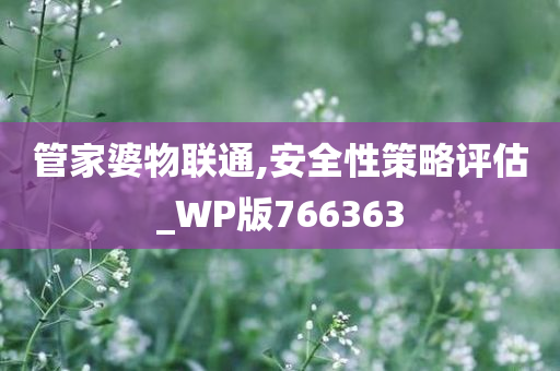 管家婆物联通,安全性策略评估_WP版766363