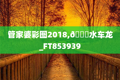 管家婆彩图2018,🐎水车龙_FT853939