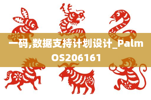 一码,数据支持计划设计_PalmOS206161