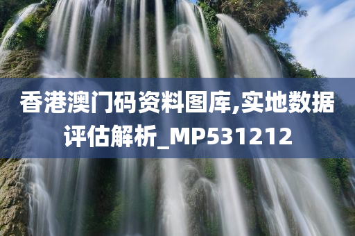 香港澳门码资料图库,实地数据评估解析_MP531212