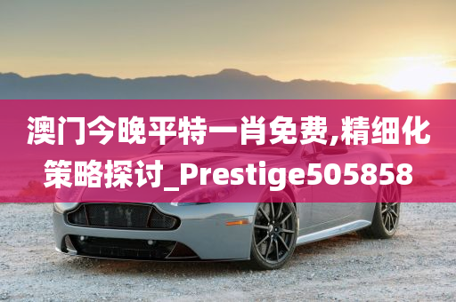 澳门今晚平特一肖免费,精细化策略探讨_Prestige505858