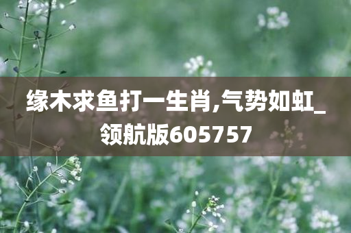 缘木求鱼打一生肖,气势如虹_领航版605757