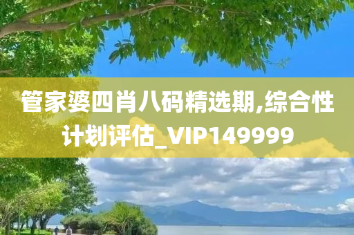 管家婆四肖八码精选期,综合性计划评估_VIP149999