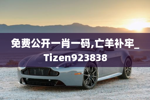 免费公开一肖一码,亡羊补牢_Tizen923838