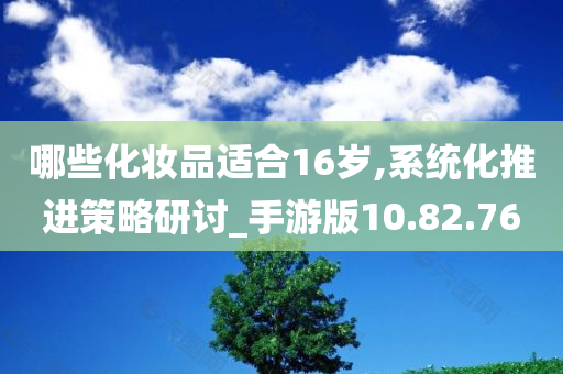 哪些化妆品适合16岁,系统化推进策略研讨_手游版10.82.76