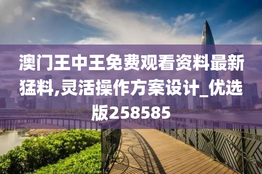 澳门王中王免费观看资料最新猛料,灵活操作方案设计_优选版258585