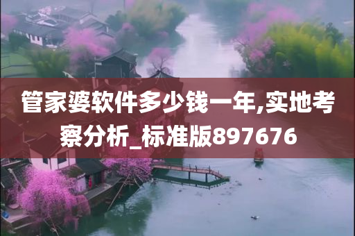 管家婆软件多少钱一年,实地考察分析_标准版897676