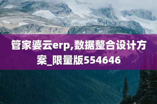 管家婆云erp,数据整合设计方案_限量版554646