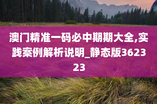 澳门精准一码必中期期大全,实践案例解析说明_静态版362323