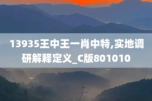 13935王中王一肖中特,实地调研解释定义_C版801010