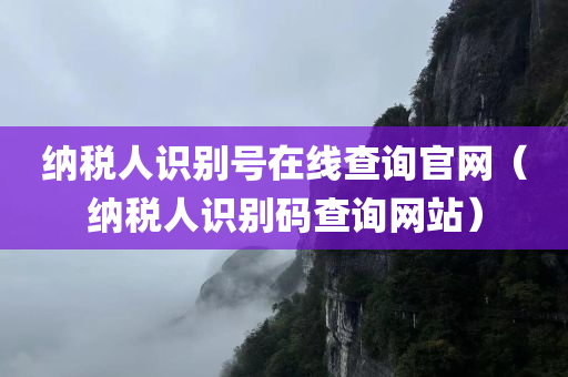 纳税人识别号在线查询官网（纳税人识别码查询网站）