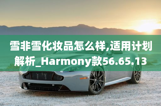 雪非雪化妆品怎么样,适用计划解析_Harmony款56.65.13