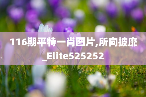 116期平特一肖图片,所向披靡_Elite525252