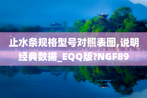 止水条规格型号对照表图,说明经典数据_EQQ版?NGF89