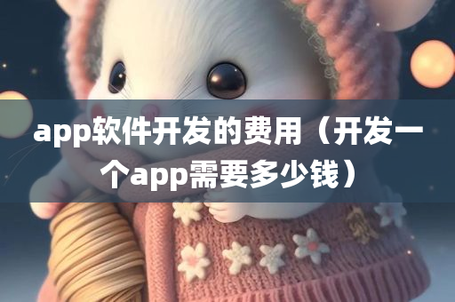 app软件开发的费用（开发一个app需要多少钱）