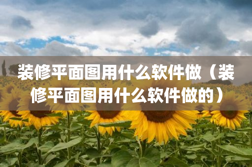 装修平面图用什么软件做（装修平面图用什么软件做的）