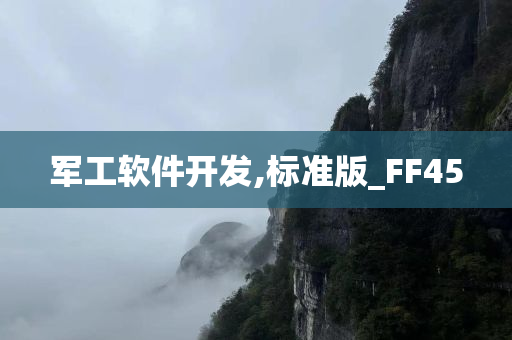 军工软件开发,标准版_FF45