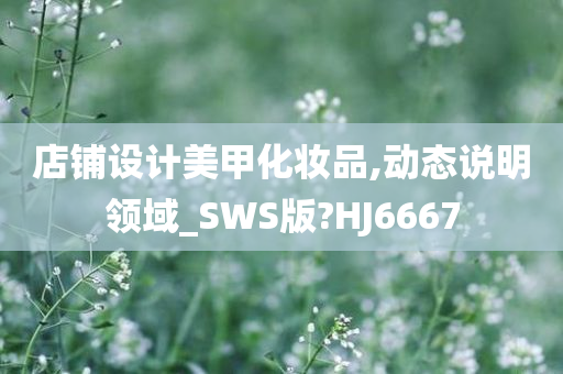 店铺设计美甲化妆品,动态说明领域_SWS版?HJ6667