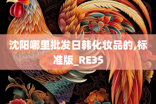 沈阳哪里批发日韩化妆品的,标准版_RE35