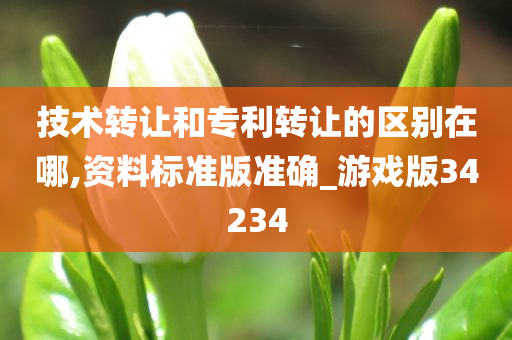 技术转让和专利转让的区别在哪,资料标准版准确_游戏版34234