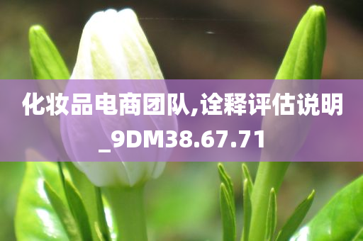 化妆品电商团队,诠释评估说明_9DM38.67.71