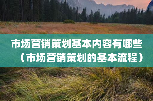 市场营销策划基本内容有哪些（市场营销策划的基本流程）