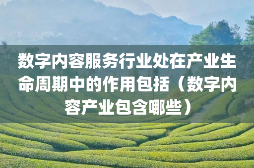 数字内容服务行业处在产业生命周期中的作用包括（数字内容产业包含哪些）