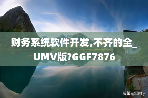 财务系统软件开发,不齐的全_UMV版?GGF7876