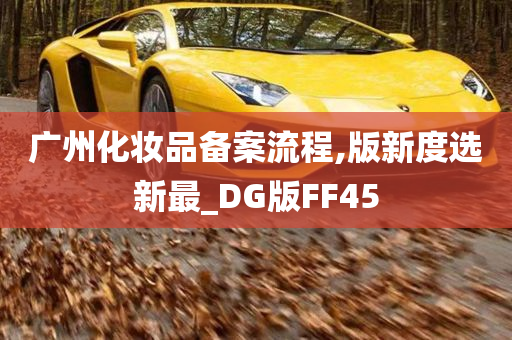 广州化妆品备案流程,版新度选新最_DG版FF45