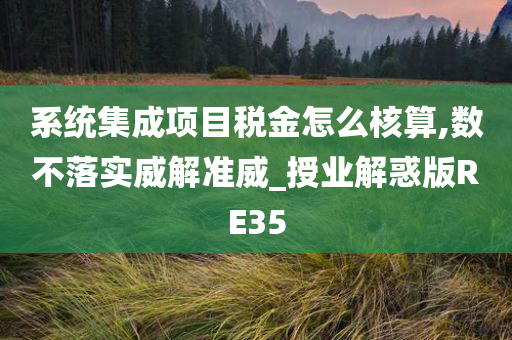 系统集成项目税金怎么核算,数不落实威解准威_授业解惑版RE35