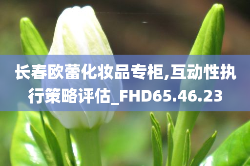 长春欧蕾化妆品专柜,互动性执行策略评估_FHD65.46.23