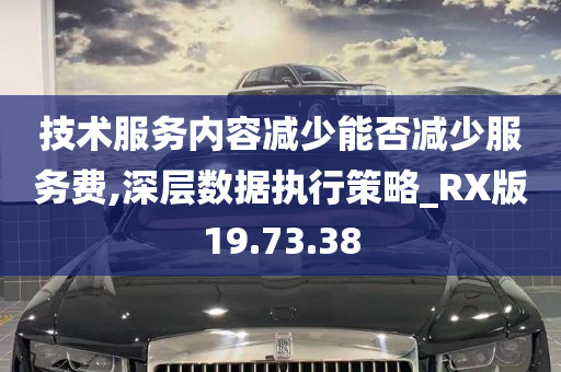 技术服务内容减少能否减少服务费,深层数据执行策略_RX版19.73.38