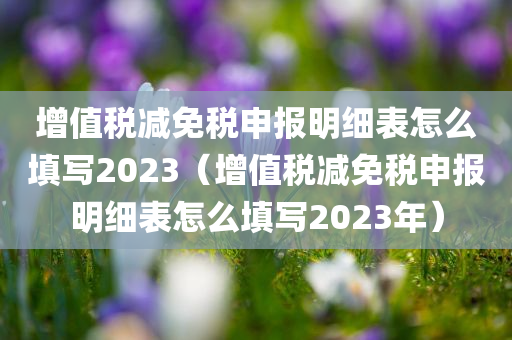 增值税减免税申报明细表怎么填写2023（增值税减免税申报明细表怎么填写2023年）